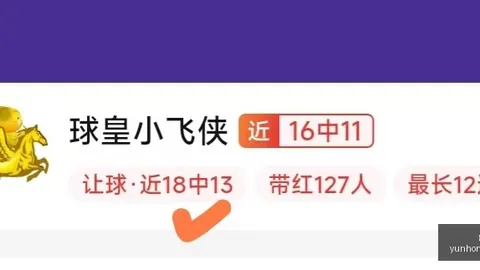 2026前瞻墨西，世界杯投注技巧，哥厄瓜多尔，数据指引比赛走向